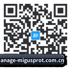 苹果版 iOS 二维码